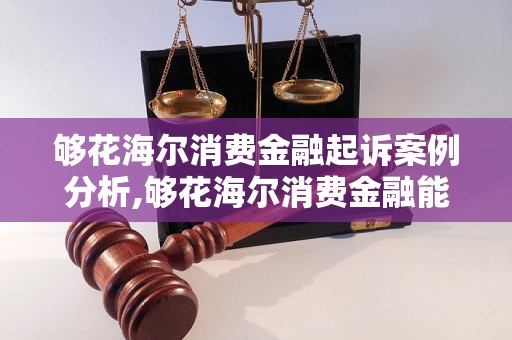 够花海尔消费金融起诉案例分析,够花海尔消费金融能否起诉