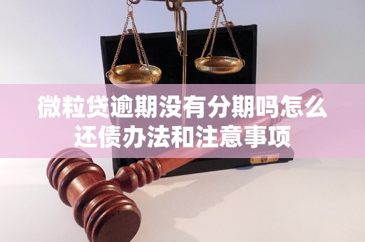 微粒贷逾期没有分期吗怎么还债办法和注意事项