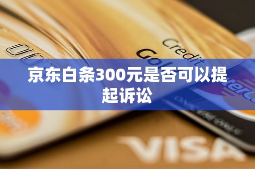 京东白条300元是否可以提起诉讼