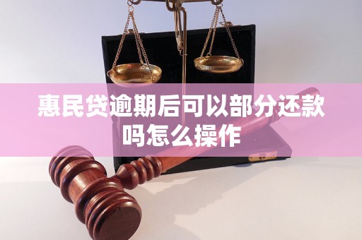 惠民贷逾期后可以部分还款吗怎么操作