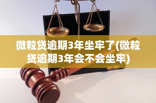 微粒贷逾期3年坐牢了(微粒贷逾期3年会不会坐牢)