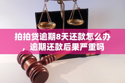 拍拍贷逾期8天还款怎么办，逾期还款后果严重吗