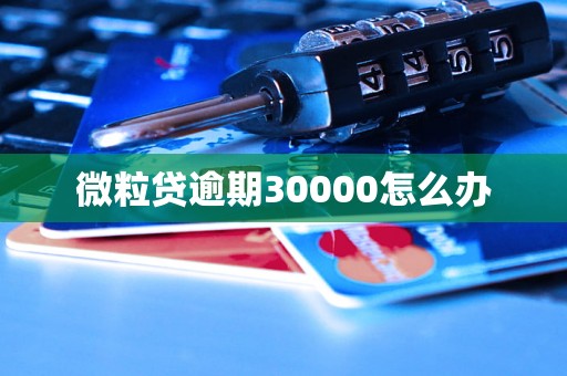 微粒贷逾期30000怎么办