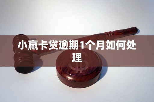 小赢卡贷逾期1个月如何处理