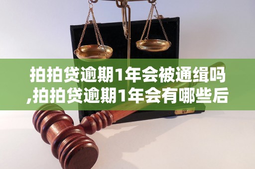 拍拍贷逾期1年会被通缉吗,拍拍贷逾期1年会有哪些后果