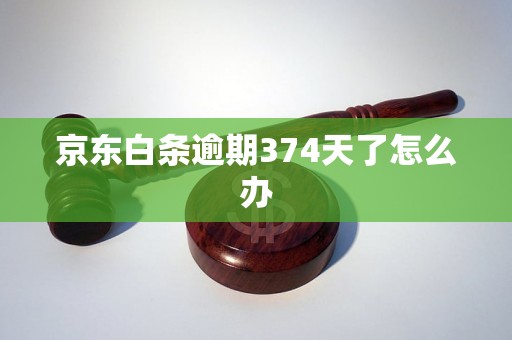 京东白条逾期374天了怎么办