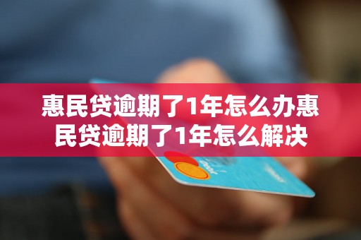 惠民贷逾期了1年怎么办惠民贷逾期了1年怎么解决