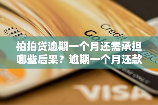 拍拍贷逾期一个月还需承担哪些后果？逾期一个月还款的解决办法有哪些？