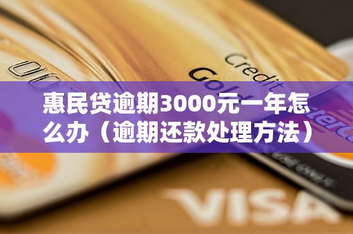 惠民贷逾期3000元一年怎么办（逾期还款处理方法）