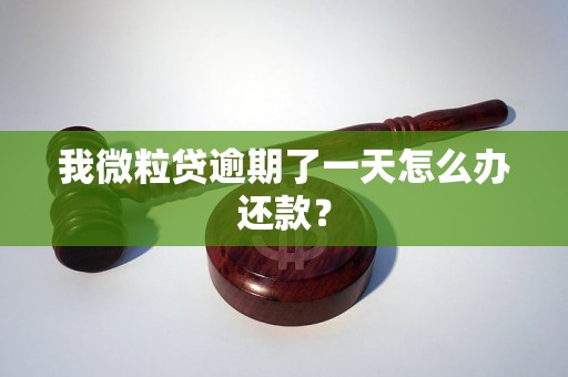 我微粒贷逾期了一天怎么办还款？