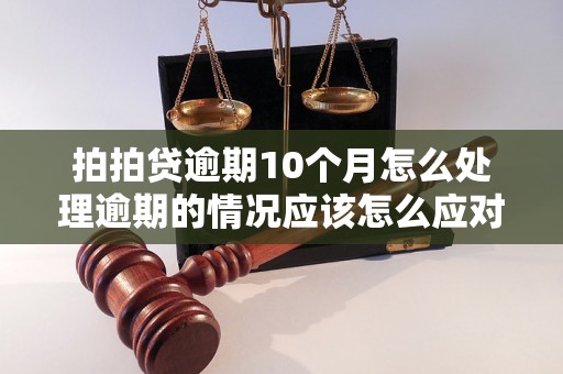 拍拍贷逾期10个月怎么处理逾期的情况应该怎么应对