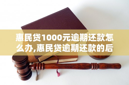 惠民贷1000元逾期还款怎么办,惠民贷逾期还款的后果是什么