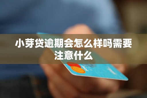 小芽贷逾期会怎么样吗需要注意什么