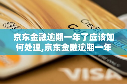 京东金融逾期一年了应该如何处理,京东金融逾期一年后的解决办法