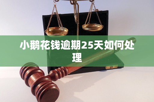 小鹅花钱逾期25天如何处理