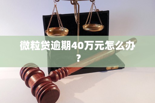 微粒贷逾期40万元怎么办？