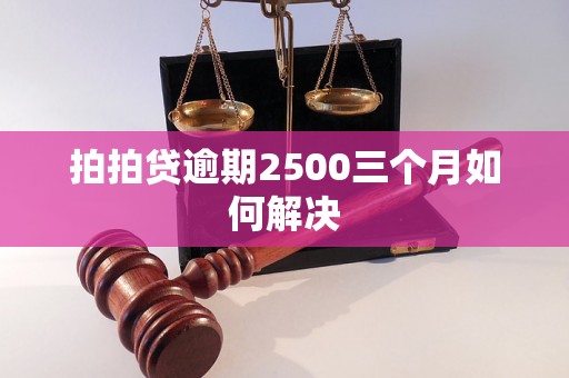 拍拍贷逾期2500三个月如何解决