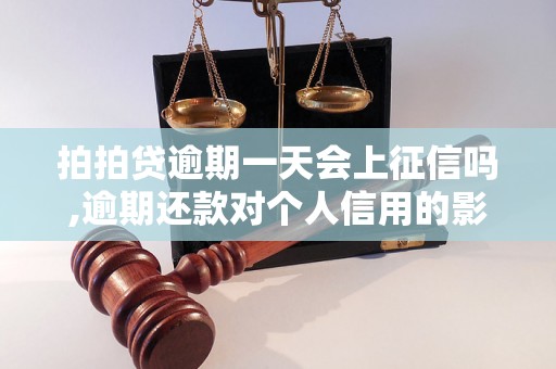 拍拍贷逾期一天会上征信吗,逾期还款对个人信用的影响