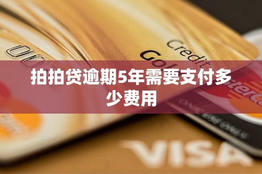 拍拍贷逾期5年需要支付多少费用