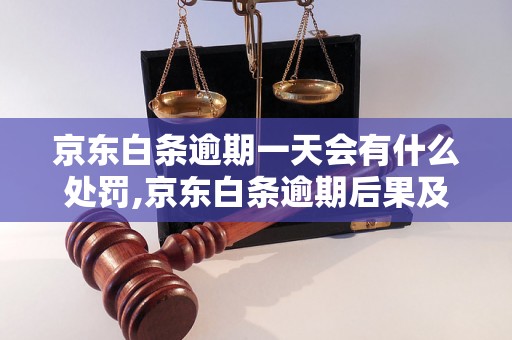 京东白条逾期一天会有什么处罚,京东白条逾期后果及解决办法