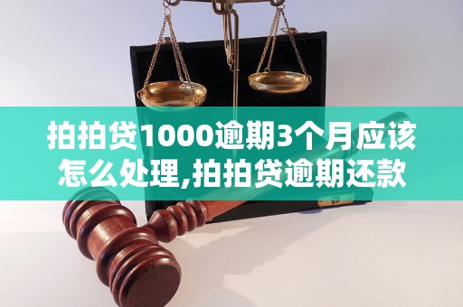 拍拍贷1000逾期3个月应该怎么处理,拍拍贷逾期还款后果及解决方法