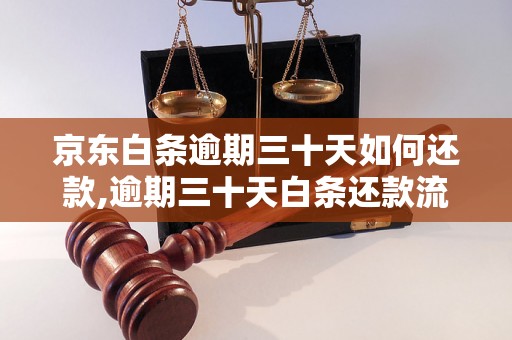 京东白条逾期三十天如何还款,逾期三十天白条还款流程解析