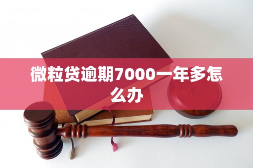 微粒贷逾期7000一年多怎么办