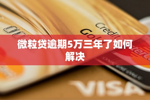 微粒贷逾期5万三年了如何解决