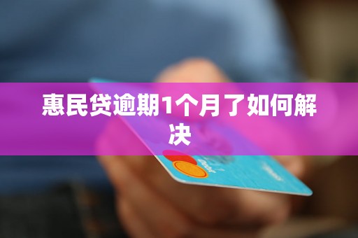 惠民贷逾期1个月了如何解决