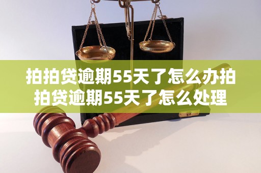 拍拍贷逾期55天了怎么办拍拍贷逾期55天了怎么处理