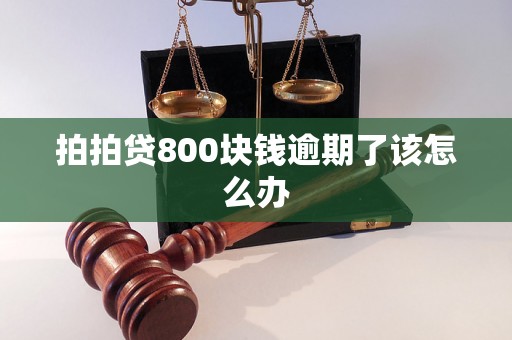 拍拍贷800块钱逾期了该怎么办