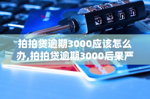 拍拍贷逾期3000应该怎么办,拍拍贷逾期3000后果严重吗