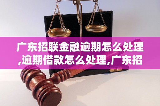 广东招联金融逾期怎么处理,逾期借款怎么处理,广东招联金融逾期处理方法介绍