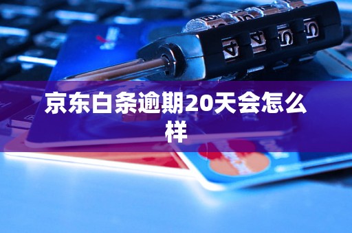 京东白条逾期20天会怎么样