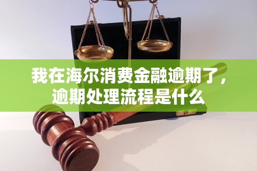 我在海尔消费金融逾期了，逾期处理流程是什么