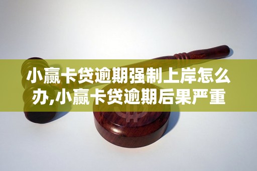 小赢卡贷逾期强制上岸怎么办,小赢卡贷逾期后果严重吗