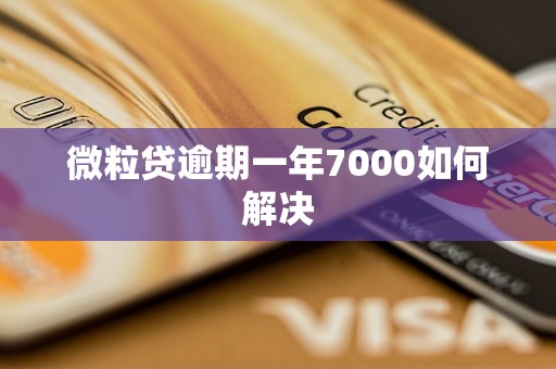 微粒贷逾期一年7000如何解决