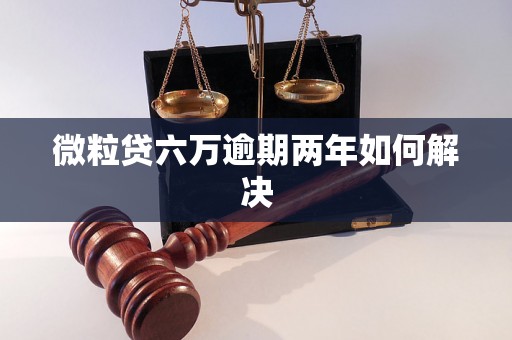 微粒贷六万逾期两年如何解决