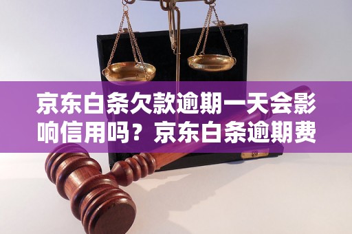 京东白条欠款逾期一天会影响信用吗？京东白条逾期费用及处理方式详解