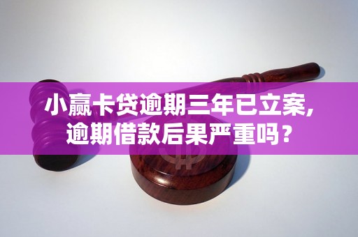 小赢卡贷逾期三年已立案,逾期借款后果严重吗？