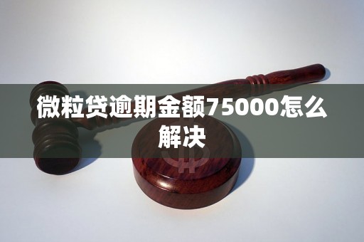 微粒贷逾期金额75000怎么解决