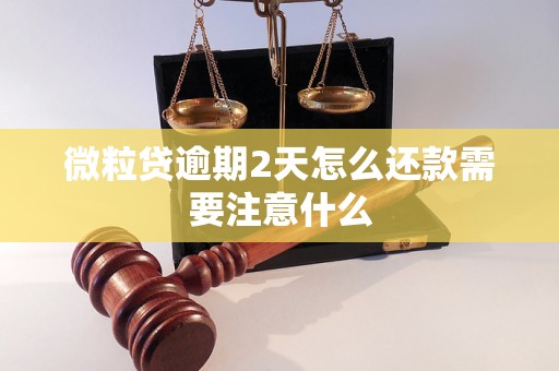 微粒贷逾期2天怎么还款需要注意什么