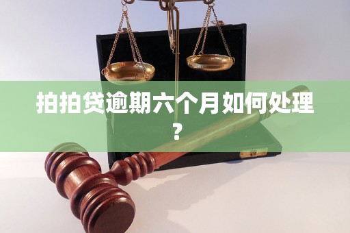 拍拍贷逾期六个月如何处理？