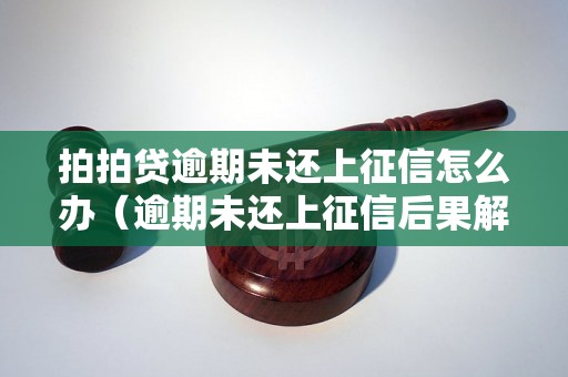 拍拍贷逾期未还上征信怎么办（逾期未还上征信后果解析）