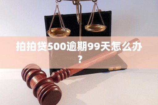 拍拍贷500逾期99天怎么办？