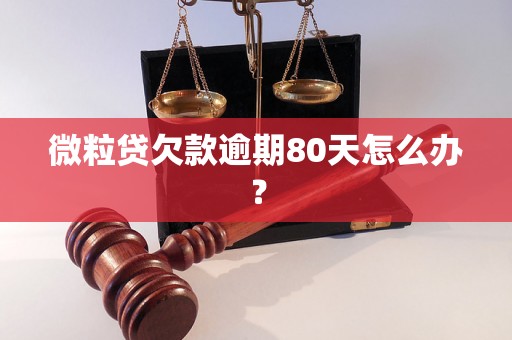 微粒贷欠款逾期80天怎么办？