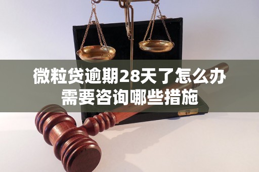 微粒贷逾期28天了怎么办需要咨询哪些措施