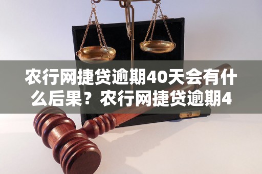 农行网捷贷逾期40天会有什么后果？农行网捷贷逾期40天会被追究什么责任？