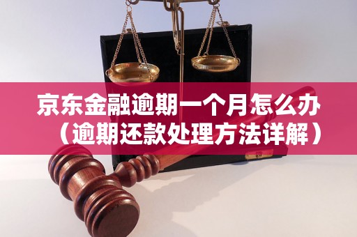 京东金融逾期一个月怎么办（逾期还款处理方法详解）