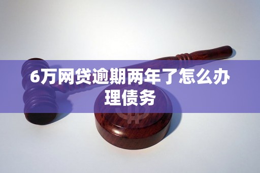 6万网贷逾期两年了怎么办理债务